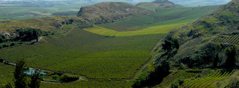 Agriturismo in Sicilia. Confagricoltura: regole chiare per riaprire le strutture in sicurezza e salvare la stagione per 800 strutture