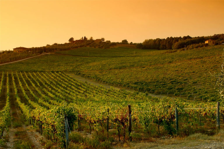 Con “Al Cinema con Gusto” il mitico “The Blues Brothers” tra i vigneti di Castello di Albola