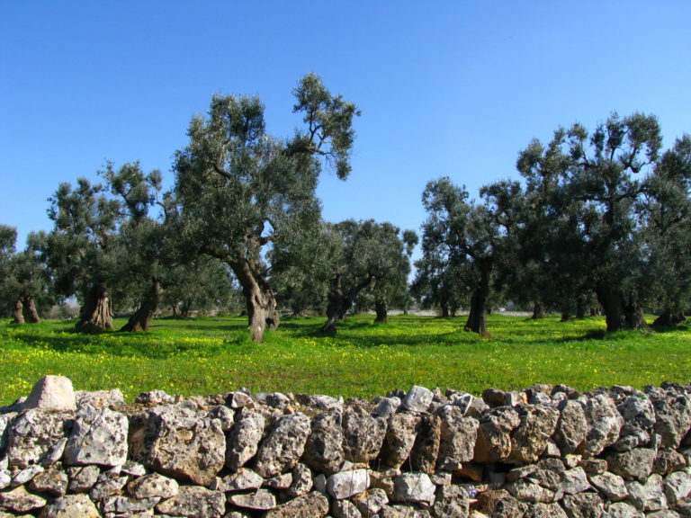 La Puglia che verrà. La regione può uscire allo scoperto, varcando ogni confine