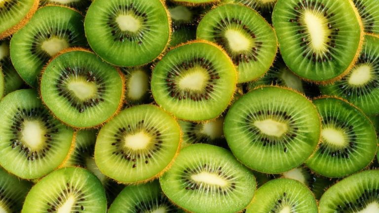 Il Kiwi perde campo produttivo (-7%), ma l’Italia con 311mila ton resta il secondo Paese in Europa