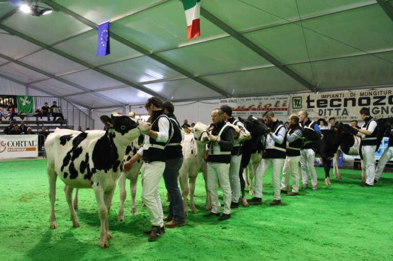 Bovini e macchine agricole. L’eccellenza del settore caseario in mostra a Bovimac