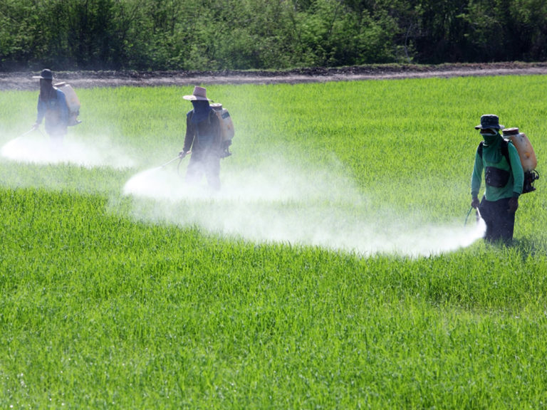 Pesticidi, Lega: Maggioranza battuta, sconfitta da sua stessa ideologia