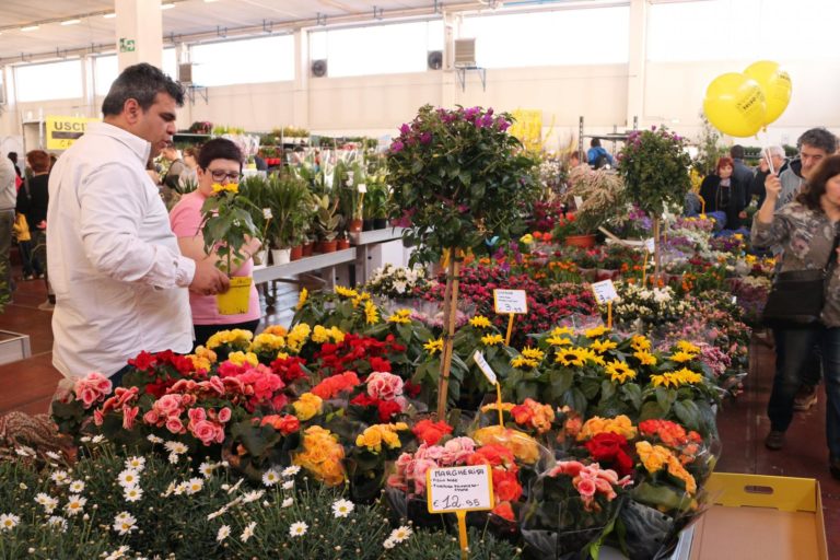 Per gusto e per passione. Vita in Campagna, 50mila hobby farmer in fiera