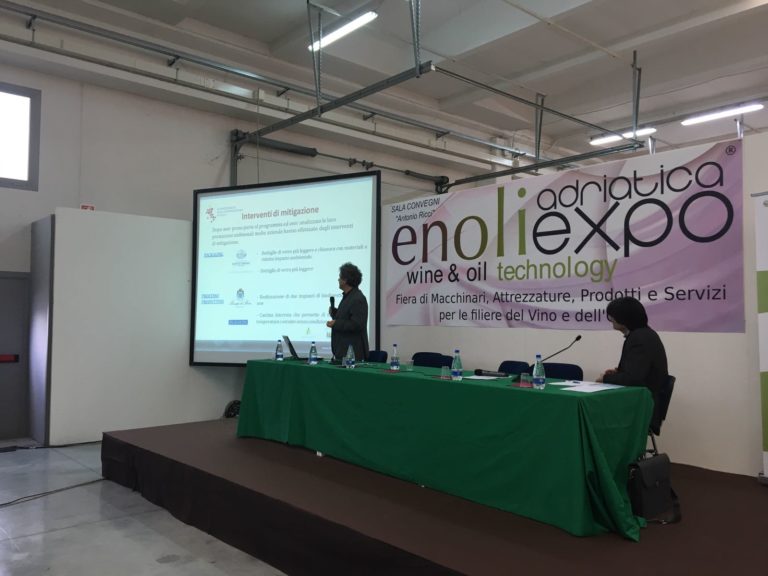 L’incontro di vino e olio. Enoliexpo, a Fermo c’è la fiera delle filiere d’eccellenza