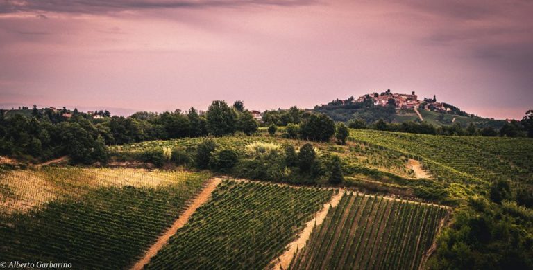 Il corso dell’Agricoltura Cia e Confagricoltura alla Festa del Cristo