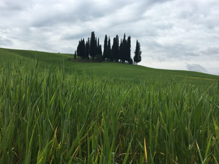 Giornata nazionale del paesaggio. Sono 123 i siti rurali storici in Italia. Ecco la mappa