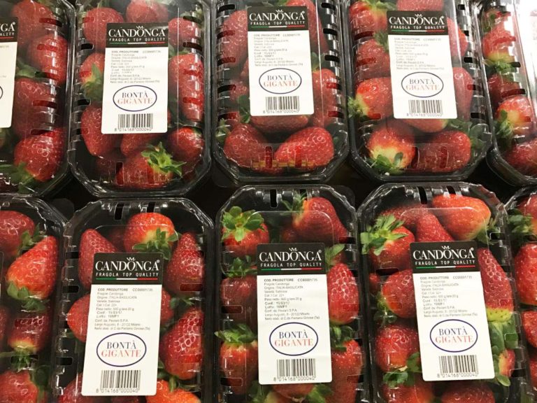 Fragola Candonga nella Gdo. Accordo per linea premium price Bontà Giganti