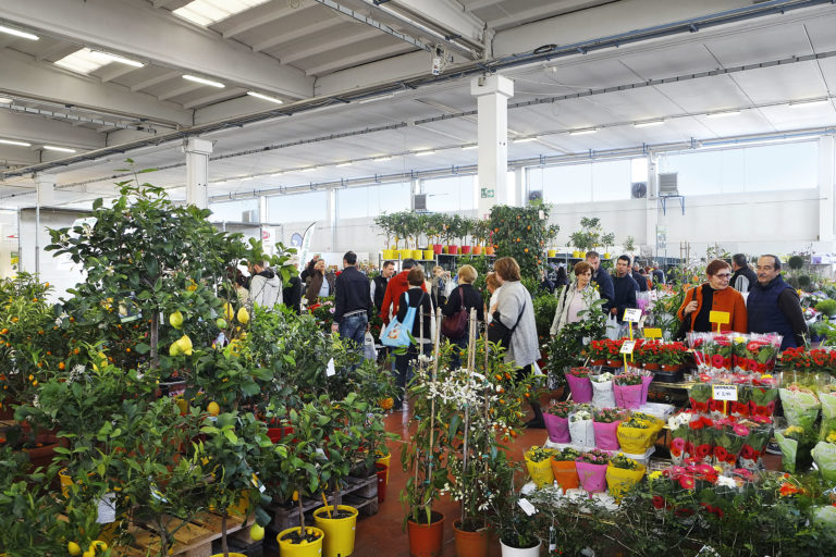 Hobby farming senza segreti. Tre giorni di Fiera di Vita in Campagna con 150 corsi e lezioni