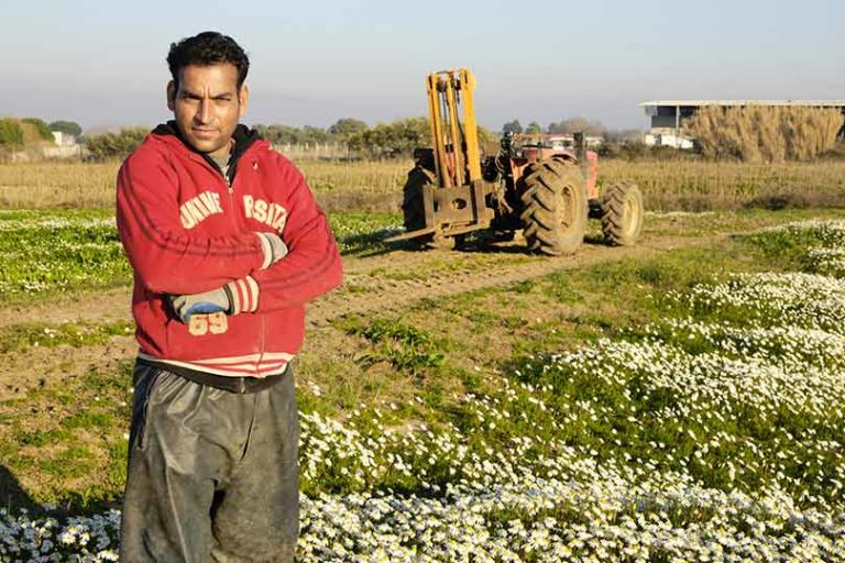 Cresce il made in Italy con il lavoro degli stranieri. 25 mila gli imprenditori che versano più di 6 mld allo Stato