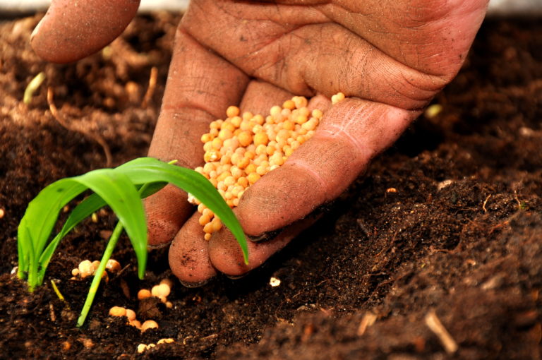 ‘Grow!’, il 20 gennaio a Bologna nuovo incontro dell’Action Tank di Agrinsieme con Bellanova