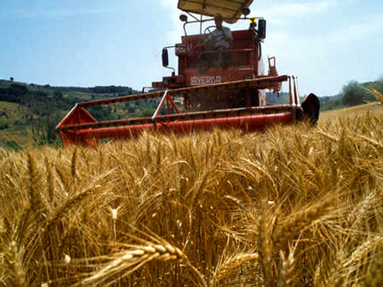 Agricoltura italiana in salute. Annuario CREA: nel 2021 vale il 15% del fatturato dell’economia nazionale. Crescita settore +6,4%