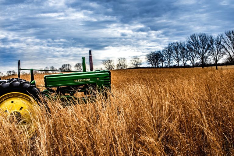 Cereali, siccità e prezzi mettono a rischio il raccolto