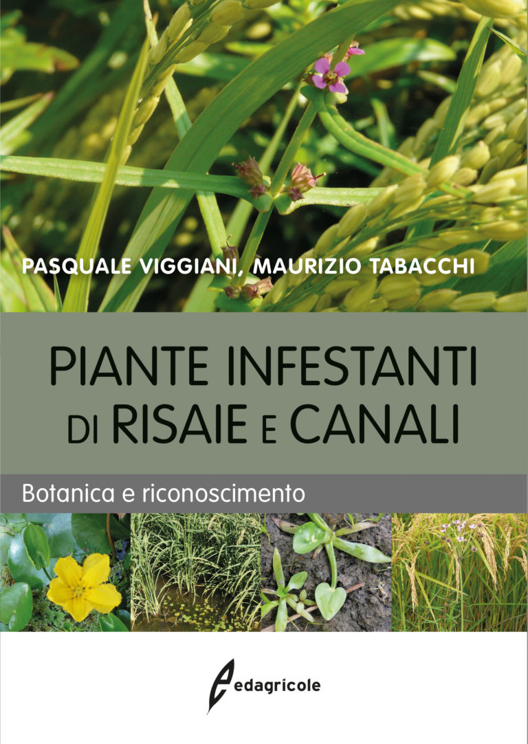 Piante infestanti di risaie e canali. Botanica e riconoscimento