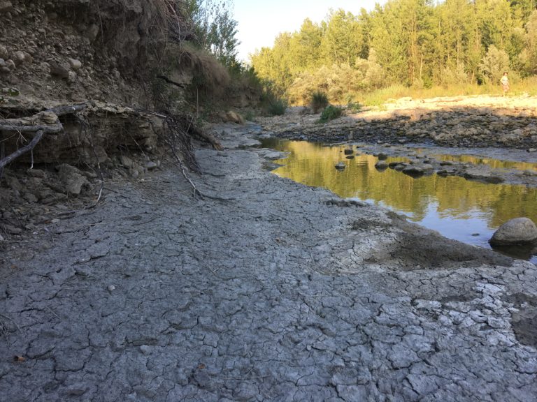 La siccità non è andata in ferie. Continua l’emergenza nelle campagne. Laghi del Nord ai minimi storici