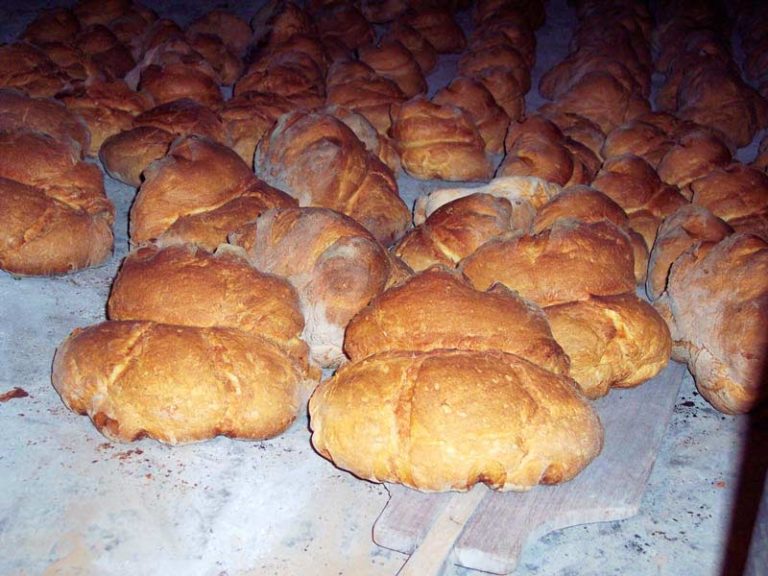 Nel nome del pane. Altamura vs Matera a confronto. Rivali dal gusto inconfondibile