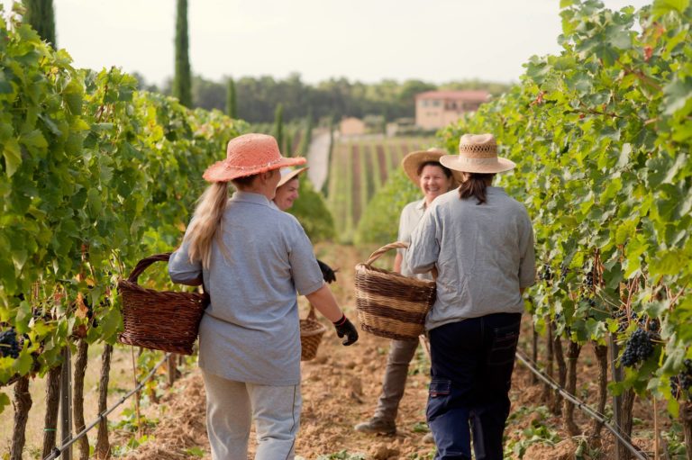 Cantine Aperte: il 28 e il 29 maggio è festa in tutta Italia con il Movimento Turismo del Vino