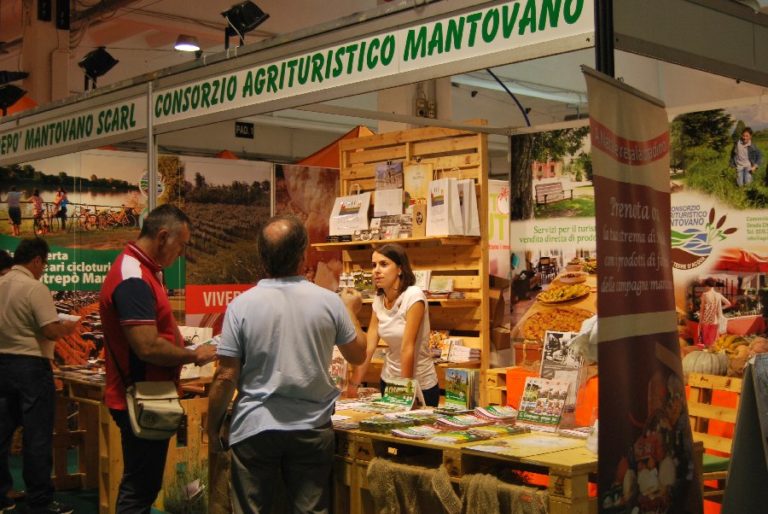 Fiera Millenaria di Gonzaga, dal 2 al 10 settembre