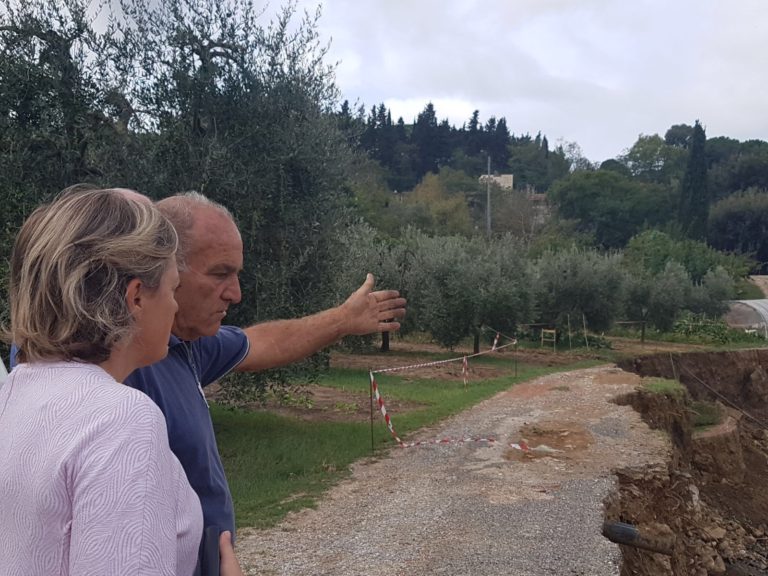 Alluvione Livorno. Campagne distrutte e olivi spazzati via. La conta dei danni della Cia