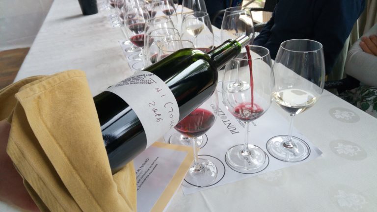 La cantina di PuntoZero. Una nuova casa per i vini dei Colli Berici per la vendemmia 2018