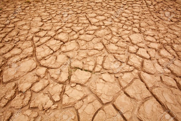 Giornata contro desertificazione: Cia, agricoltori in prima linea per il suolo