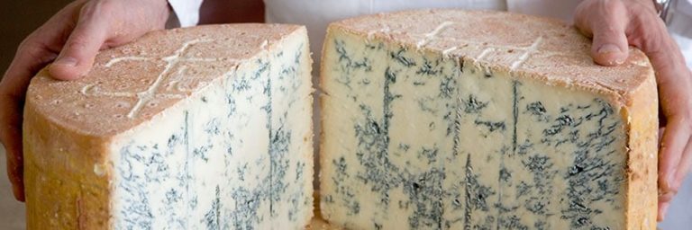 Sapore deciso, orgoglio italiano. Gorgonzola Dop, gusto e tradizione