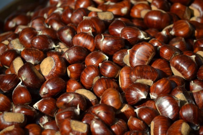 Castagna, l’Irpinia capitale europea. A settembre a Montella (AV) gli European Chestnut Days