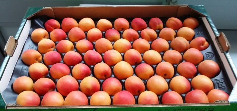 Frutta, domanda medio bassa. Il maltempo non impatta sui prezzi all’ingrosso