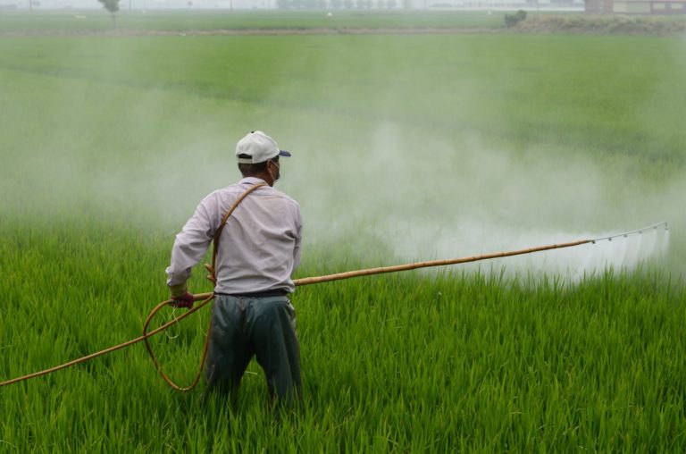 Pesticidi, l’azione dell’UE ha portato a progressi modesti. Lo sostiene la Corte dei conti europea