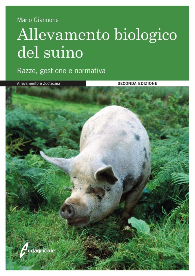 Allevamento biologico del suino. Mario Giannone spiega razze, gestione e normativa