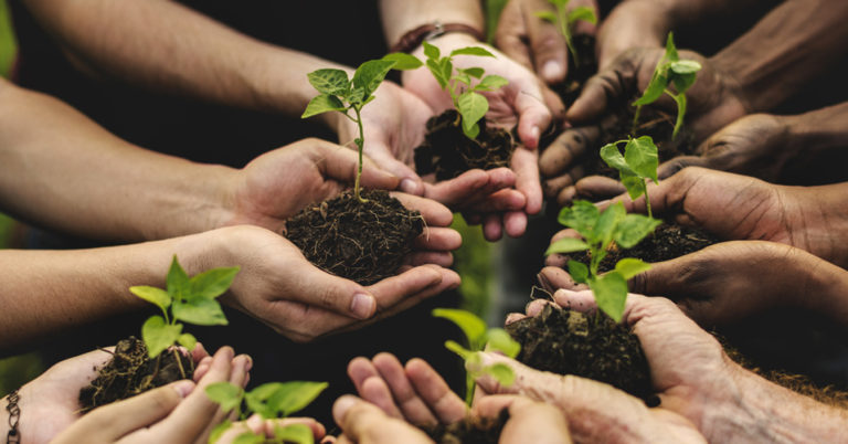 Criticità e burocrazia, tutte le difficoltà dell’agricoltura in riserva