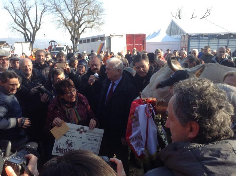 Fiera del Bue Grasso. Confagricoltura Asti premia il miglior capo allevato sul territorio