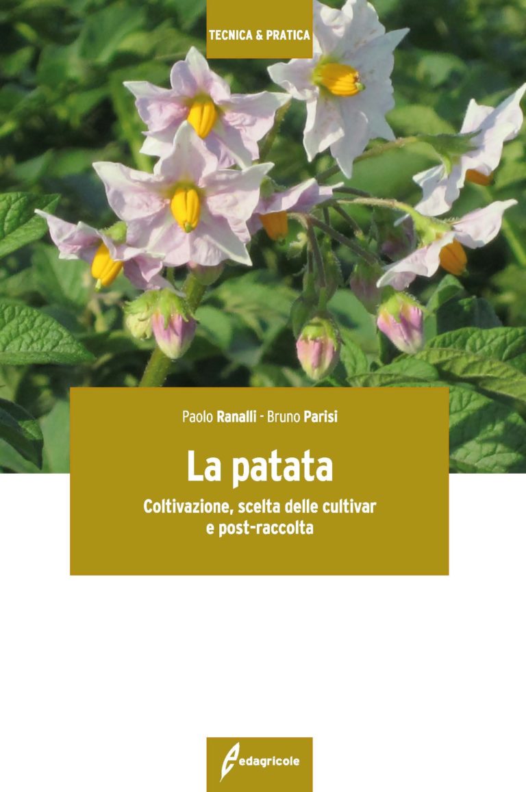 La patata. Un libro illustra coltivazione, scelta delle cultivar e post-raccolta