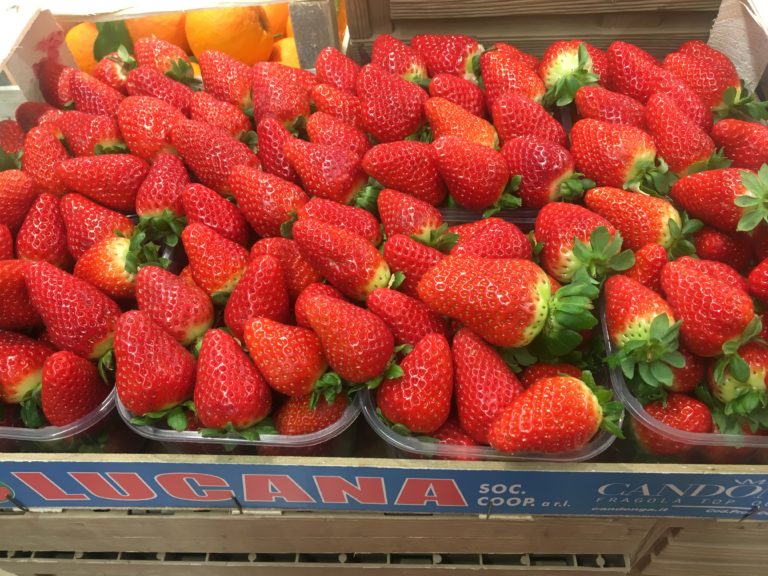 Freddo e maltempo. Danni all’ortofrutta per 680 mln, per Pasqua a rischio fragole e asparagi