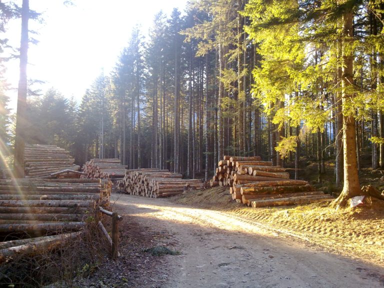 DPCM 10 aprile. Produzione macchine agricole e attività forestali silvicolturali verso la riapertura