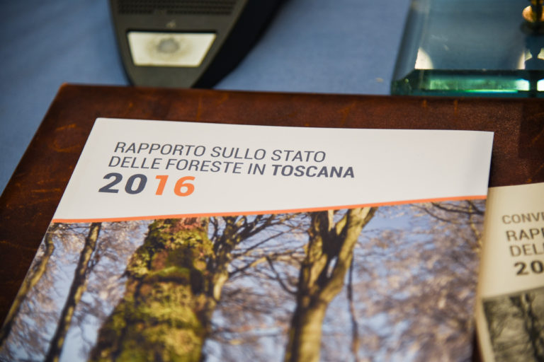 La Toscana è un bosco. Con 1mln e 200mila ettari è la più grande superficie boscata d’Italia