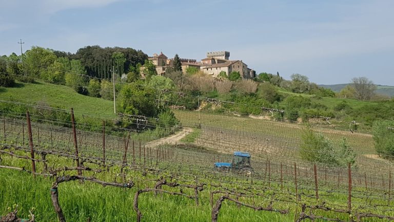 Nel bicchiere i segreti del territorio. Nel senese il vino della terra di mezzo