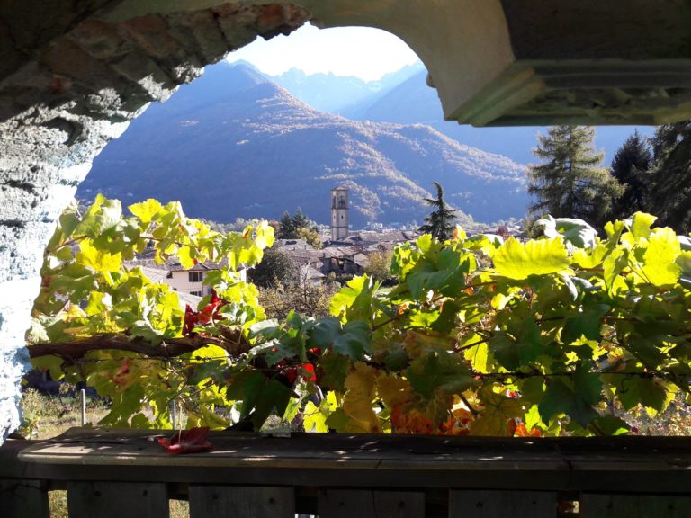 Nebbiolo delle Alpi. In Valtellina il Grappolo d’Oro, dal 7 al 16 settembre