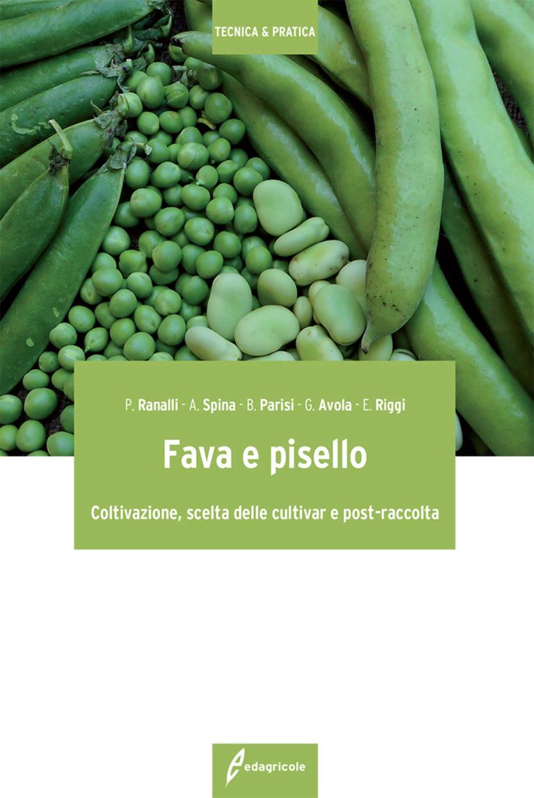 Fava e pisello. Coltivazione, scelta delle cultivar e post raccolta