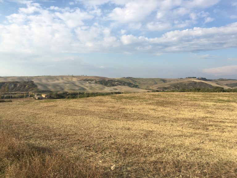 Toscana, un paesaggio da coltivare. Rossi all’attacco: “Non vogliamo condoni”