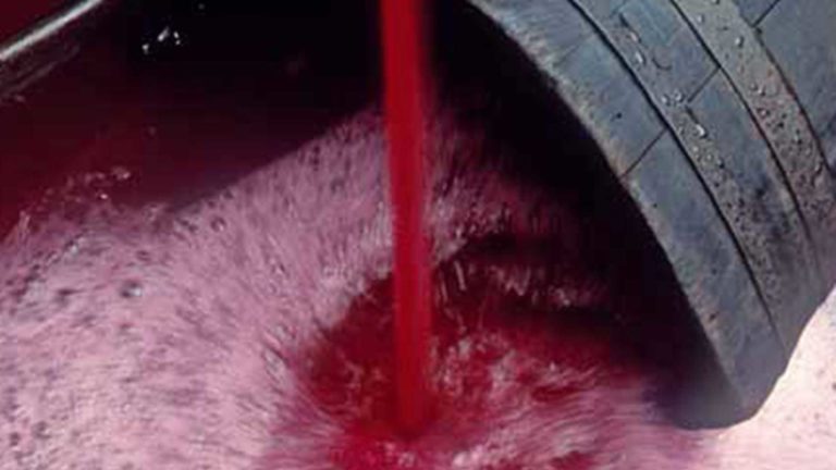 Frodi agroalimentari. Sequestrati oltre 3 milioni di litri di vino con falsa indicazione di origine protetta