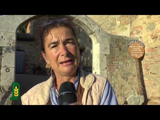 In Val d’Orcia alla scoperta dell’essenza della natura