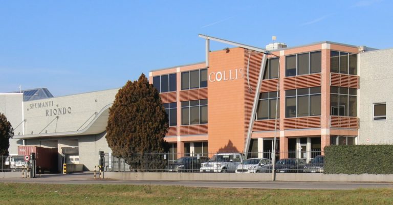 Collis Veneto Wine Group: il 2019 si chiude con 84 mln di euro di fatturato