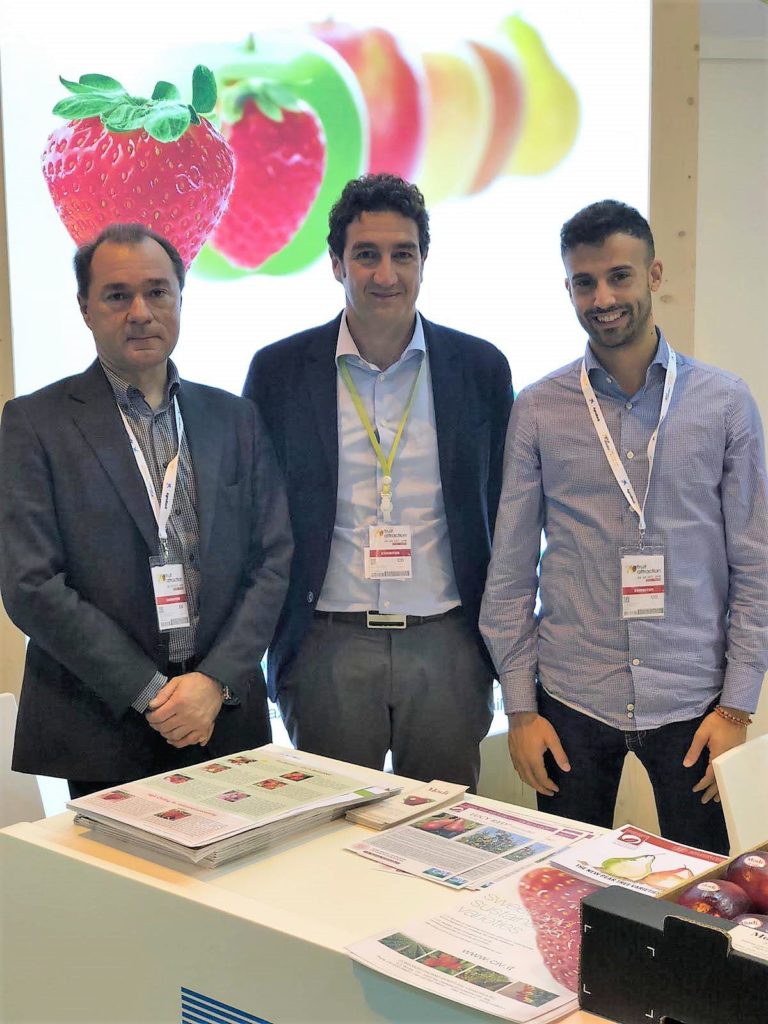 Consorzio Italiano Vivaisti, novità delle varietà di melo. Il progetto Modì verso i 1000 ettari, con prospettive in Usa ed Australia