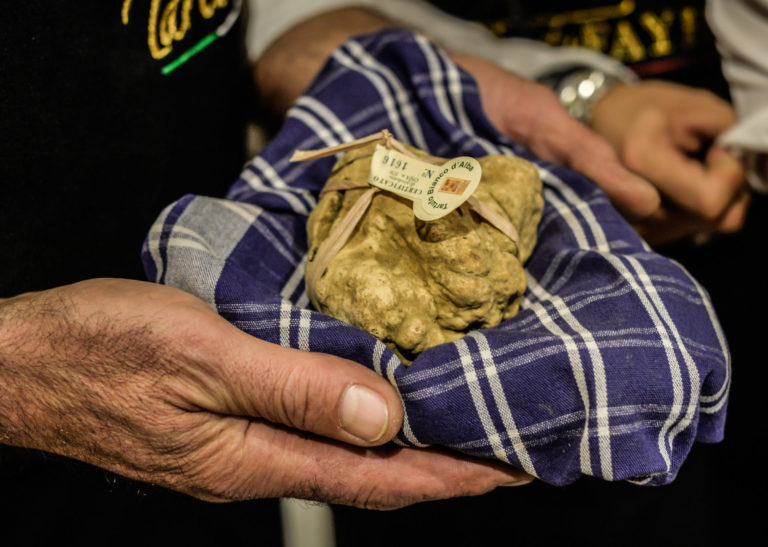 La Liguria rimanda la raccolta del tartufo al 25 settembre (divieto fino a quel giorno). Caldo e siccità le cause