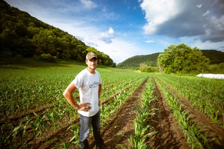 Pochi ma buoni. I giovani agricoltori sono meno del 10% delle aziende agricole, ma fatturano più del doppio