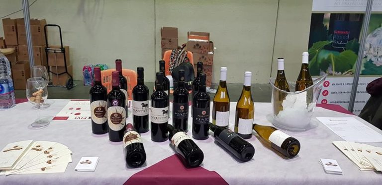 Mercato dei Vini Fivi. Via alla due giorni di Piacenza con 600 vignaioli indipendenti