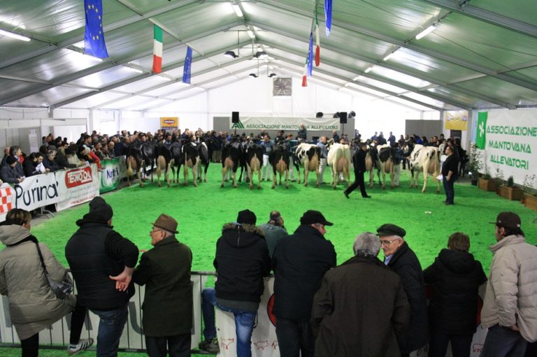 Torna Bovimac. L’appuntamento con la fiera agricola a Gonzaga per parlare dei temi caldi del settore