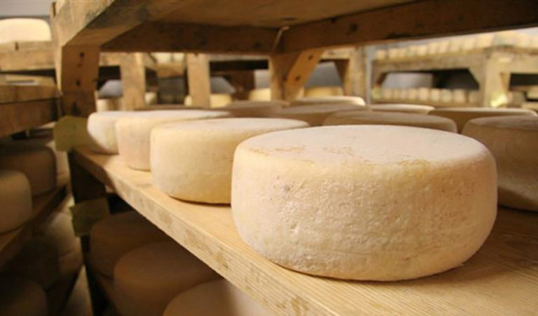 Consorzio Tutela Pecorino Toscano Dop. Saccardi: Molto bene l’ingresso di nuove aziende