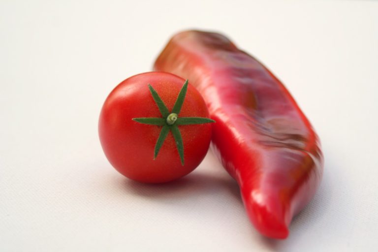 Un pomodoro già piccante alla nascita. Ricerca in Brasile risveglia i geni dormienti tipici del peperoncino