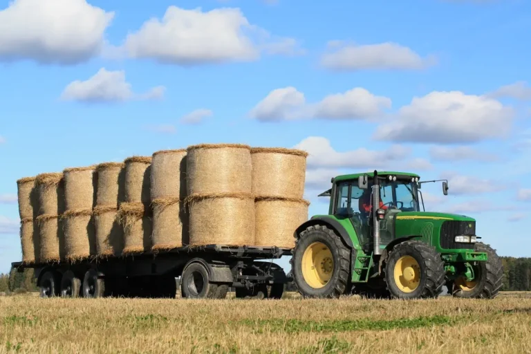 Agea ha emesso il decreto di pagamento per la gestione del rischio colture vegetali per 41 mln euro